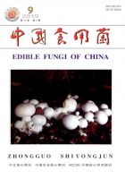 中国食用菌