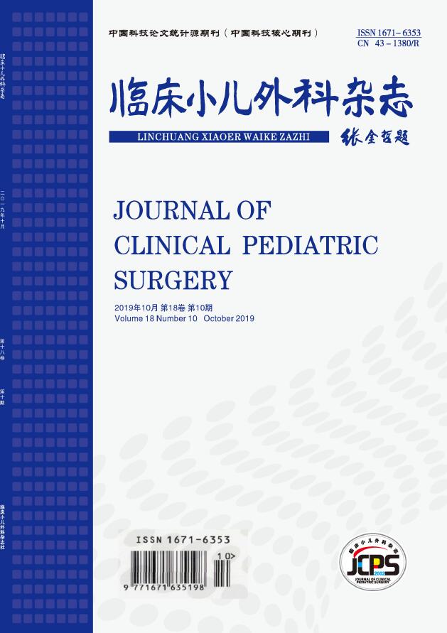临床小儿外科杂志