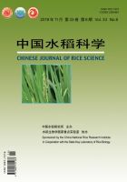 中国水稻科学