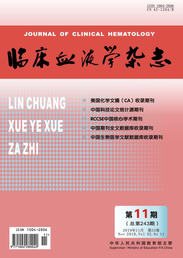 临床血液学杂志