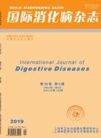 国际消化病杂志