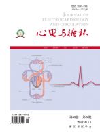 心电与循环
