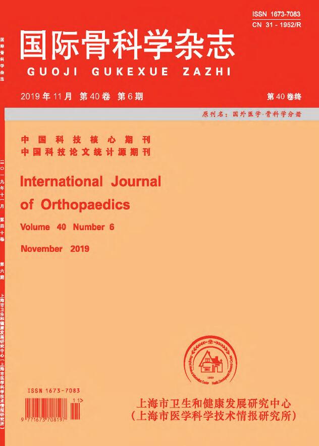 国际骨科学杂志
