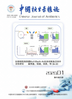 中国抗生素杂志