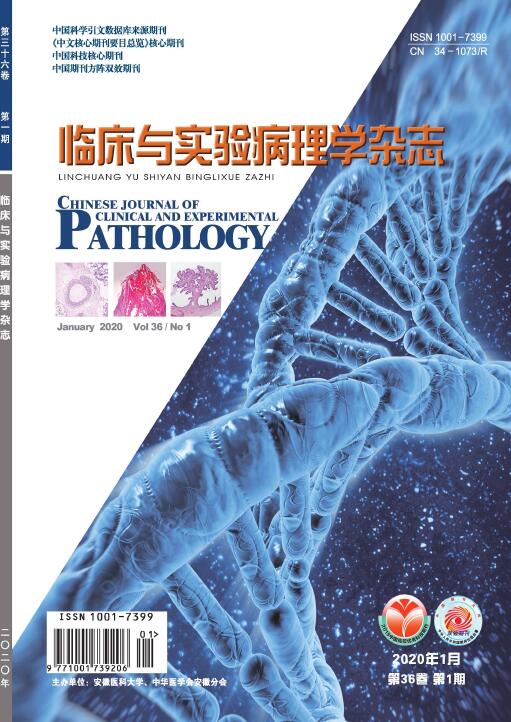 临床与实验病理学杂志