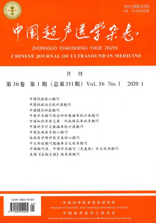 中国超声医学杂志