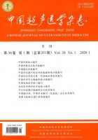 中国超声医学杂志