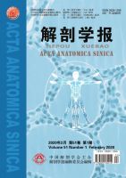解剖学报