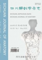 四川解剖学杂志