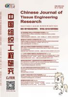 中国组织工程研究