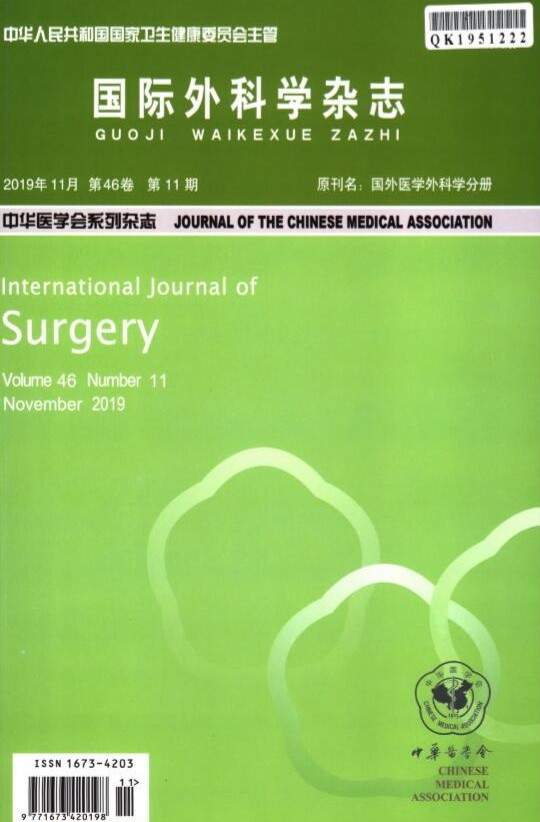 国际外科学杂志