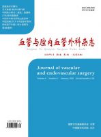 血管与腔内血管外科杂志
