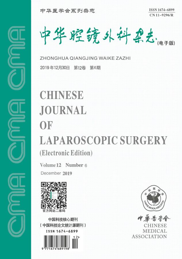 中华腔镜外科杂志(电子版)