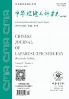 中华腔镜外科杂志(电子版)