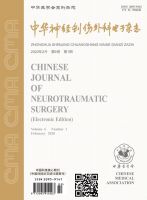 中华神经创伤外科电子杂志