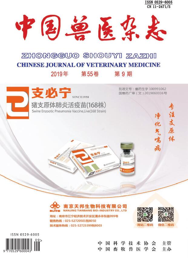 中国兽医杂志