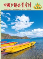 中国乡镇企业会计