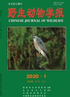 野生动物学报