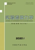 实验流体力学