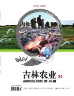 吉林农业