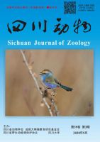 四川动物