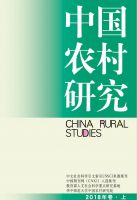 中国农村研究