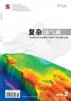 复杂油气藏