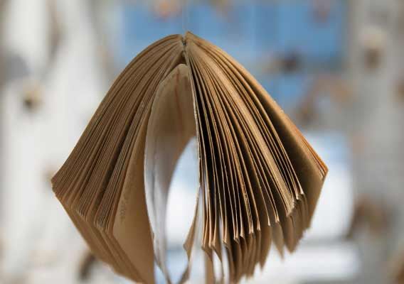 什么样的参考文献可以引用？引用参考文献的注意事项有哪些？