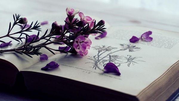 普刊论文发表录用一般需要多久？