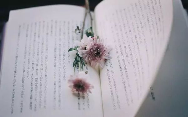 增刊、套刊什么意思？发表有效力吗？