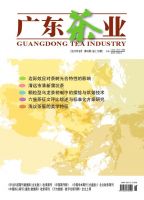 广东茶业