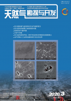 天然气勘探与开发