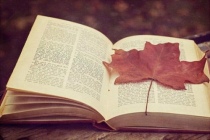 单核与双核期刊有什么区别？