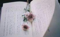 报刊与杂志的分类及区分是什么？