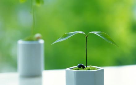 核心期刊投稿，这些技巧必不可少