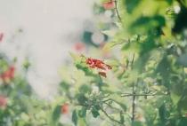 SCI论文发表中途增加一个作者可以吗