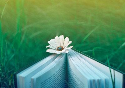 论文字数和查重的价格有关系吗？重复率是怎么算的？如何快速降重？