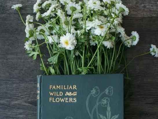 如何培养论文写作意识，有没有万能写作方针？