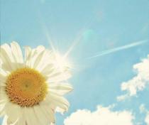 论文发表的费用是由什么决定的？