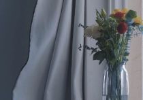 sci论文反馈时间要多久