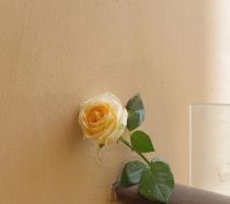 jcr和sci是一回事儿吗？有什么区别？