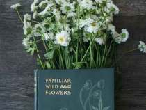 论文的参考文献怎么写？书写格式和技巧又是什么？