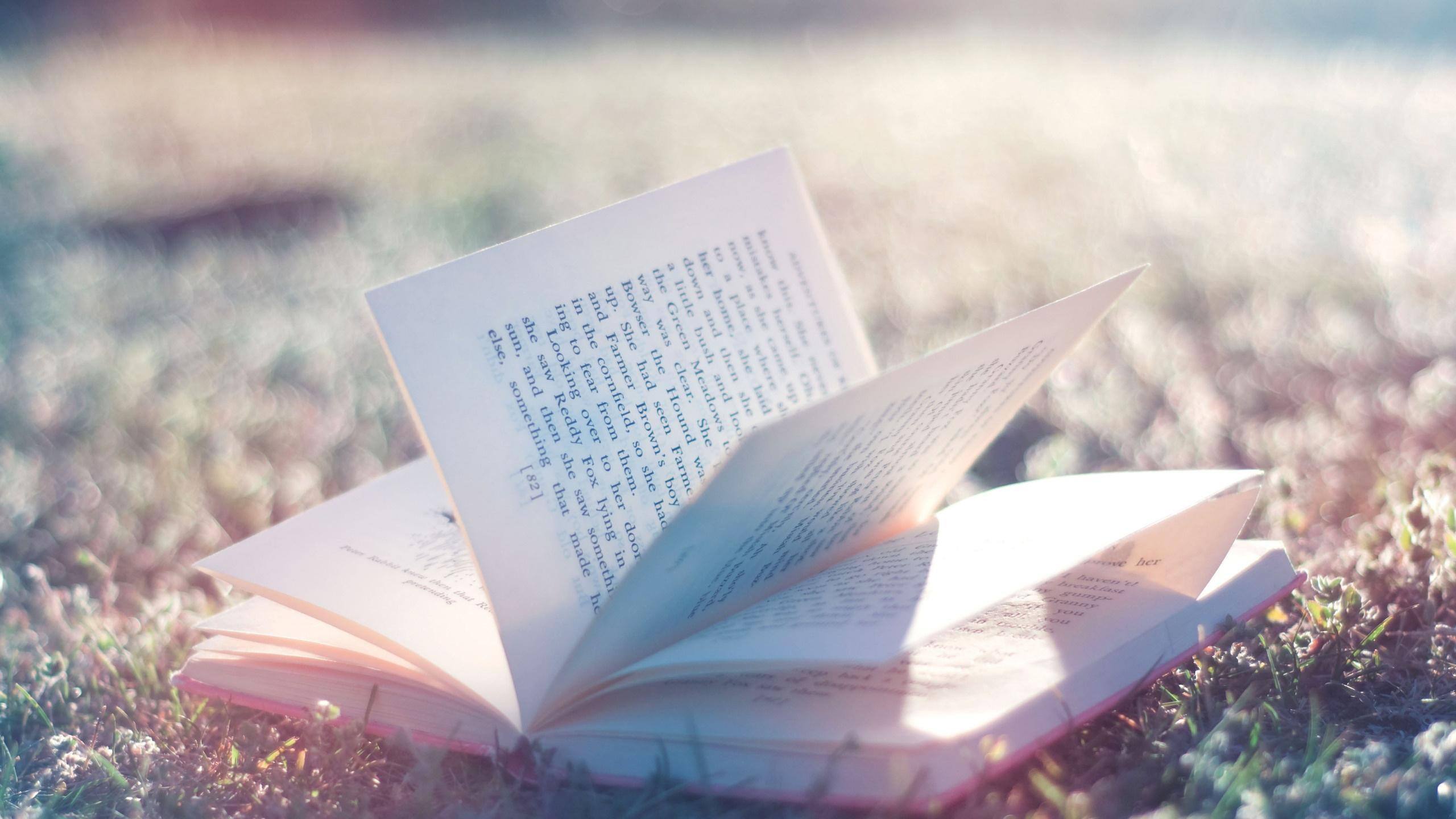 毕业论文综述应该怎么写？