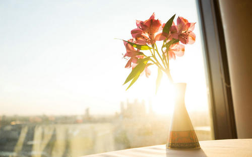 课题能被知网收录并在知网上查到吗？