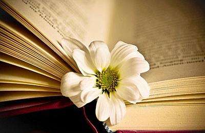 论文的引言和摘要是一个意思吗？两者有何区别？