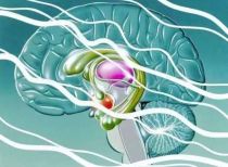 神经内科方面优秀论文精选