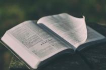 成功发表一篇论文会有哪些费用？