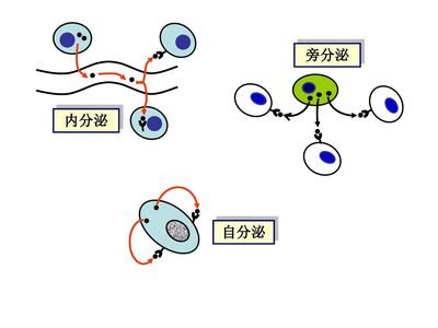 生理学方向优秀论文精选题目