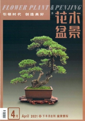 花木盆景(盆景赏石)