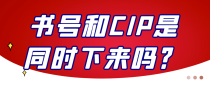书号和CIP是同时下来吗？